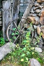 Wooden broken wheel Royalty Free Stock Photo