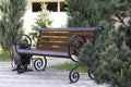 Wooden brown bench with iron round ornate handles in the park. Green spruce branches, a leisure park for people, green plants. The