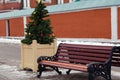 A wooden brown bench in a park in the city, next to it are Christmas trees in the flower beds Royalty Free Stock Photo