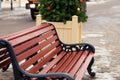 A wooden brown bench in a park in the city, next to it are Christmas trees in the flower beds Royalty Free Stock Photo