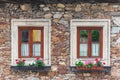 A wooden, brown windows and a fragment of a stone wall of the building. Curtains hanging in the window, colorful flowers Royalty Free Stock Photo