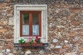 A wooden, brown window and a fragment of a stone wall of the building. Curtains hanging in the window, colorful flowers Royalty Free Stock Photo