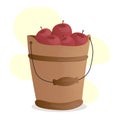 wooden bucket with ripe red apples Royalty Free Stock Photo