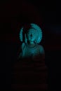 WOODEN BUDDHA STATUE IN LUMINANCE LIGHTING