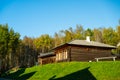 Wooden building on the background of a birch grove