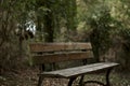 Wooden bench in a forest