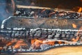 Wooden burning hot charred planks of wood logs in a fire with tongues of fire and smoke. Texture, background Royalty Free Stock Photo
