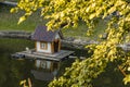 Wooden cabin for birds animal care landscaping object float on lake water surface in park spring time natural environment tree Royalty Free Stock Photo