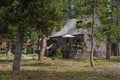 Wooden cabin in forest Royalty Free Stock Photo