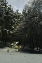 Wooden cabin in the middle of a snowy forest Royalty Free Stock Photo