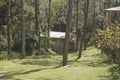 Wooden cabin in the mountains surrounded by pine forests