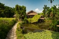 Wooden cabin near a dirty lake in a tree forest Royalty Free Stock Photo