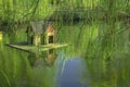 Wooden cabin pond water surface summer day time with tree foliage foreground scenic space landscaping environment park