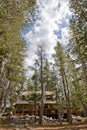 Wooden cabin in scenic forest Royalty Free Stock Photo