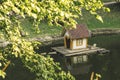 Wooden cabin on water surface in park for birds animal care landscaping object spring nature environment with vivid green yellow
