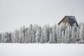 Wooden cabin in wood land winter time landscape scenic view white nature environment snowfall outside space for copy or text