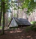 Wooden cabin in the woods Royalty Free Stock Photo