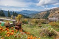 Wooden Cabin in the woods with flowers around in autumn Royalty Free Stock Photo