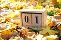 Wooden calendar block with date on falling autumn leaves background.