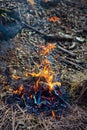 Wooden camp fire in the forest