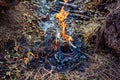 Wooden camp fire in the forest