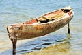 Wooden canoe moored on posts