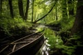 wooden canoe resting in a cool, dense forest