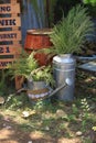 Wooden cans and barrels for wedding and party decorations with rustic themes