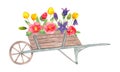 Wooden cart with flowers from the garden.Spring composition. Watercolor simple botanical illustration.Seasonal holiday