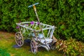 Wooden cart with flowers