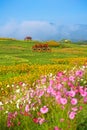 Wooden cart in the garden of Boon Rawd Farm Royalty Free Stock Photo