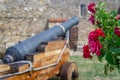 a wooden cart that has some flowers in it near a cannon