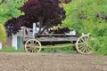 Wooden cart in the field with trees and shrubs in the background Royalty Free Stock Photo