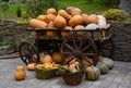 Wooden cart with orange pumpkins, wicker baskets with corn and pumpkins