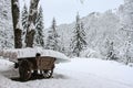 A wooden cart in a pine forest after a heavy snowfall.