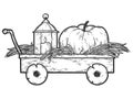 Wooden cart with pumpkins and autumn herbs. Autumn illustration, harvest, farming. Sketch.