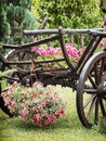 Wooden cart with summer flowers, detail scene Royalty Free Stock Photo