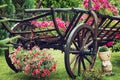 Wooden cart with summer flowers