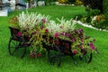 Wooden cart with summer flowers Royalty Free Stock Photo