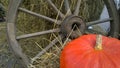 Wooden Cart Wheel And Orange Pumpkin On Hay Background. Autumn Color. Vintage Decor. Rich Harvest. Thanksgiving Day. Village Style