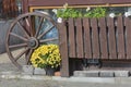 Wooden cart wheel and rustic fence. Yellow chrysanthemums in large bucket. Beautiful decor of a country house
