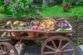 Wooden cart with wicker carp with vegetables in the garden