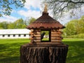 Wooden carved birdhouse on a tree stump, a feeder for birds with a pigeon in it