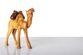 Wooden carved camel on bright table with white background. Place