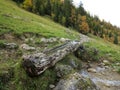 Weathered wooden cattle trough at alp