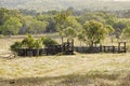 Wooden cattle yards with a bushland background. Royalty Free Stock Photo