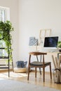 Wooden chair at desk with desktop computer in white home office interior with plant on ladder. Real photo Royalty Free Stock Photo