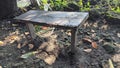 wooden chair is installed in the garden and under the shade of a tree