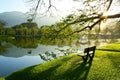 Wooden chair at lake garden