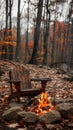 Wooden Chair Next to Fire in Forest